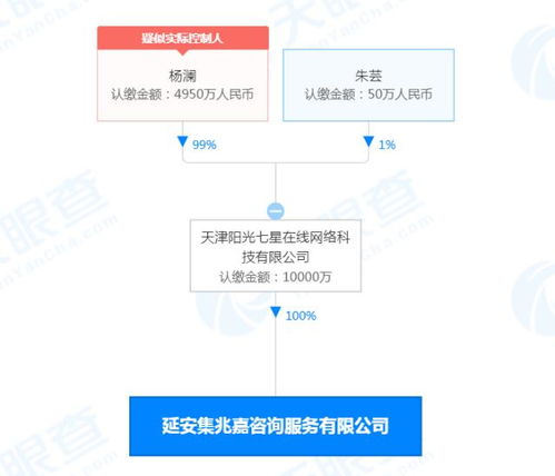 杨澜新公司业务含新能源汽车销售